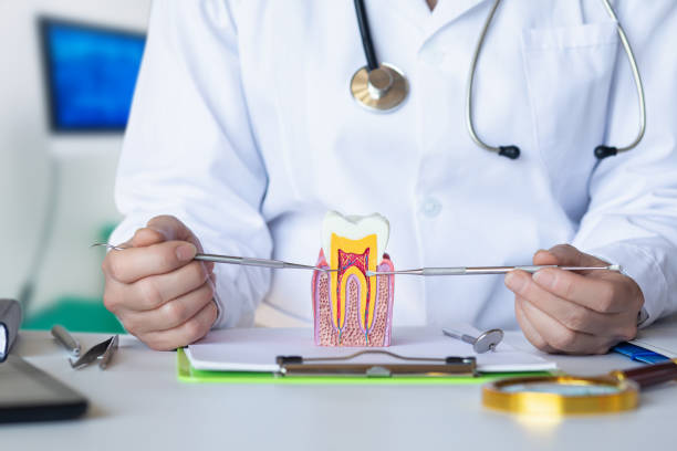 Best Emergency Tooth Extraction in Urbana, MD